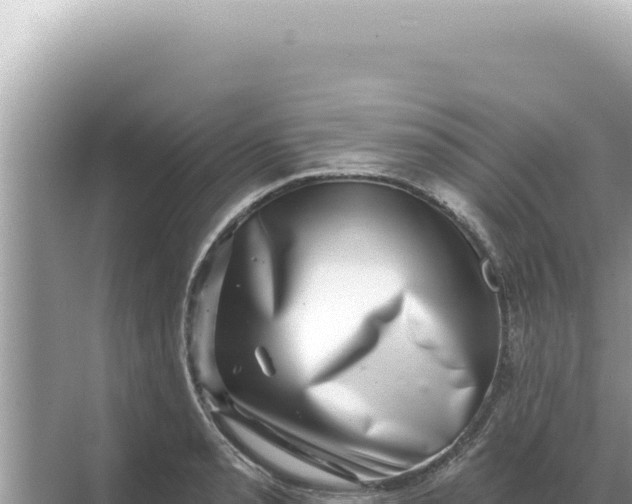 X0000068271085200605051809