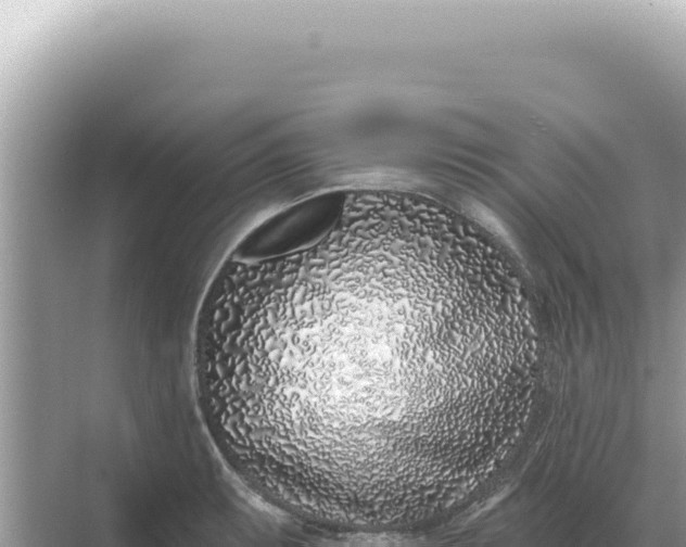 X0000068271087200605051809