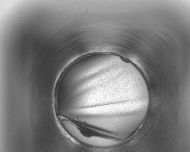 X0000068271088200605051809