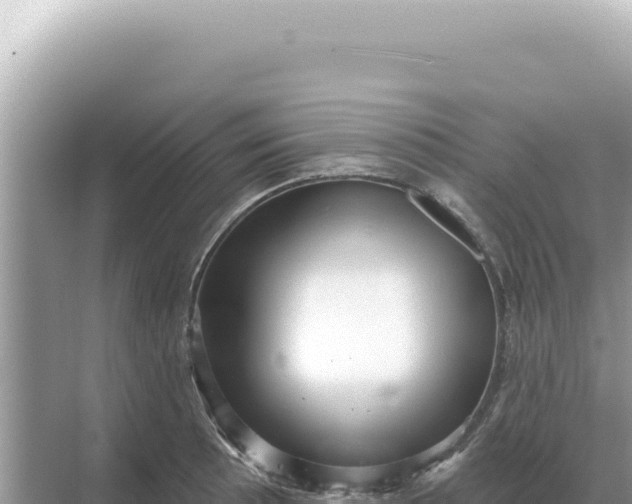 X0000068271089200605051809