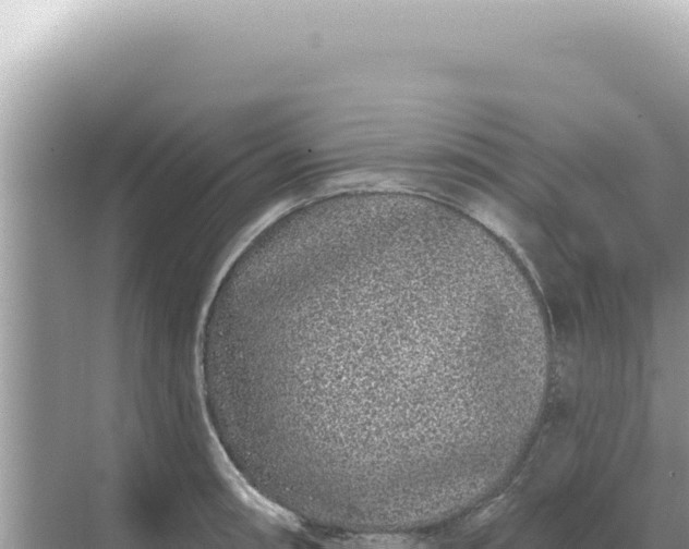 X0000068271090200605051809