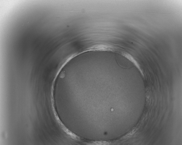 X0000068271091200605051809