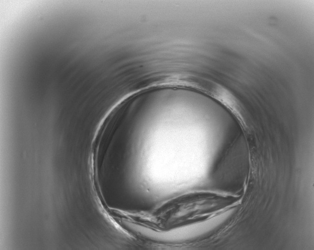 X0000068271092200605051809