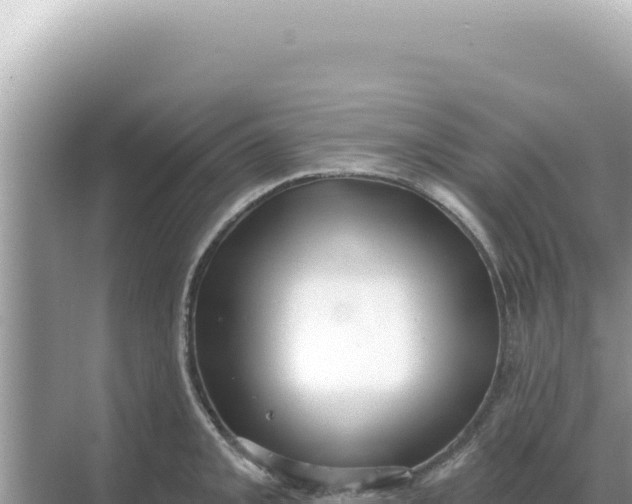 X0000068271093200605051808