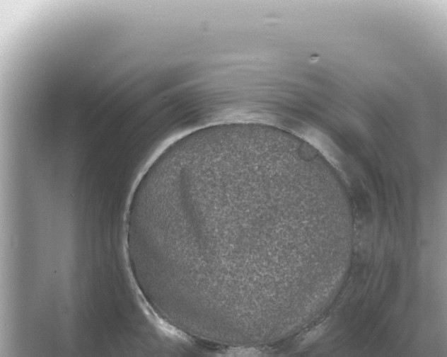 X0000068271094200605051808