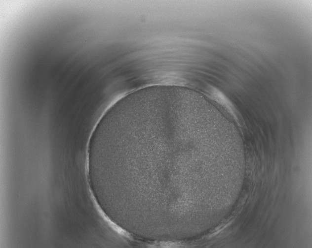 X0000068271095200605051808