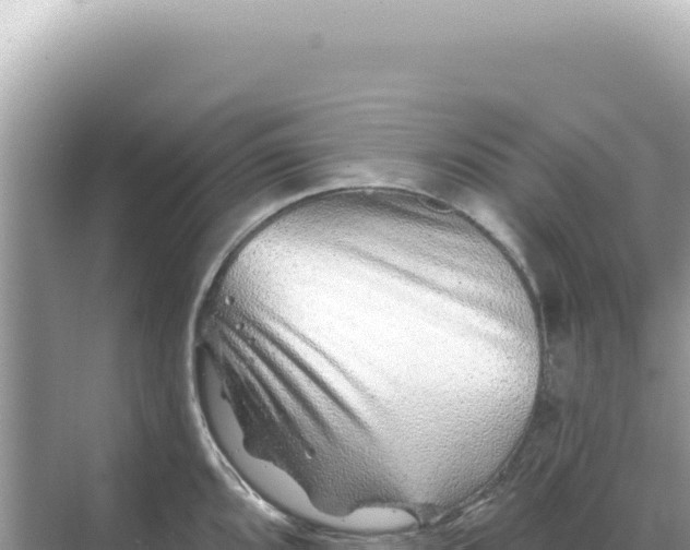 X0000068271096200605051808