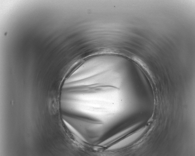 X0000068271097200605051808