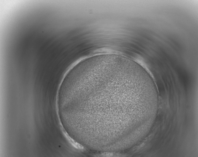 X0000068271098200605051808