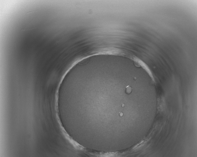 X0000068271099200605051808