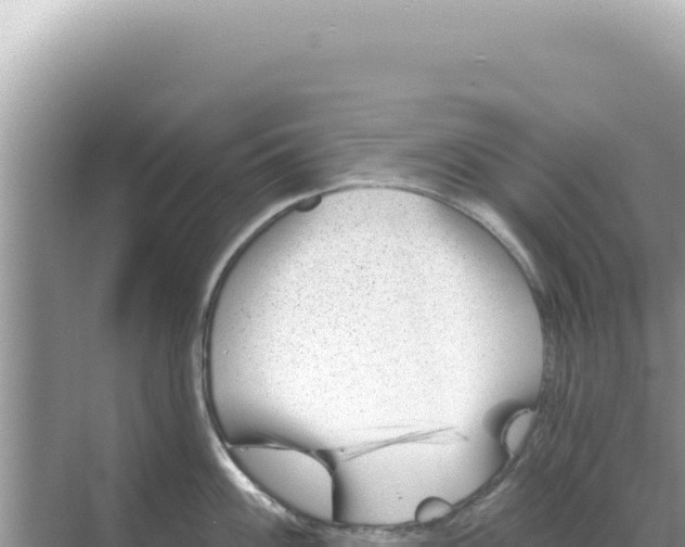 X0000068271100200605051808