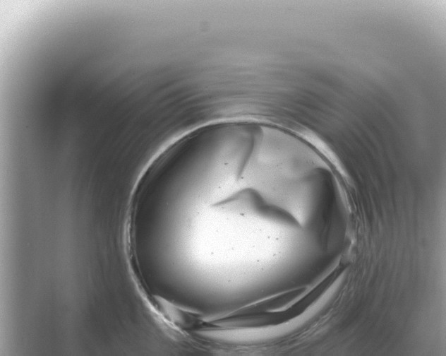 X0000068271101200605051808