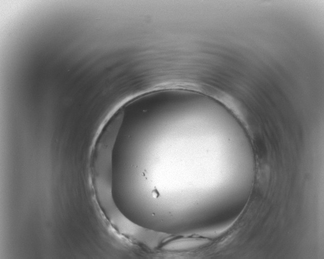 X0000068271102200605051808