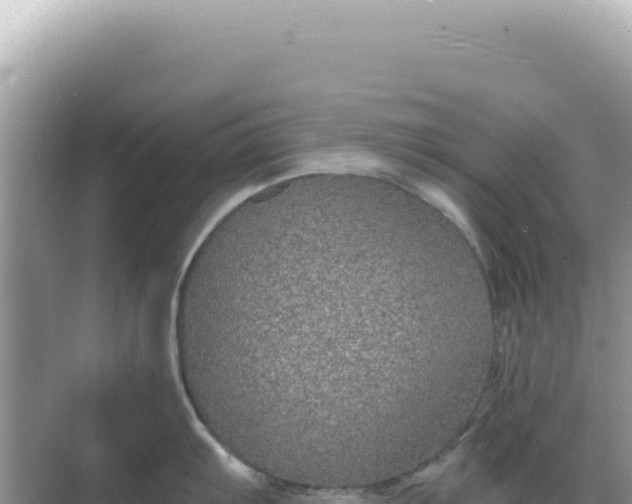 X0000068271103200605051808