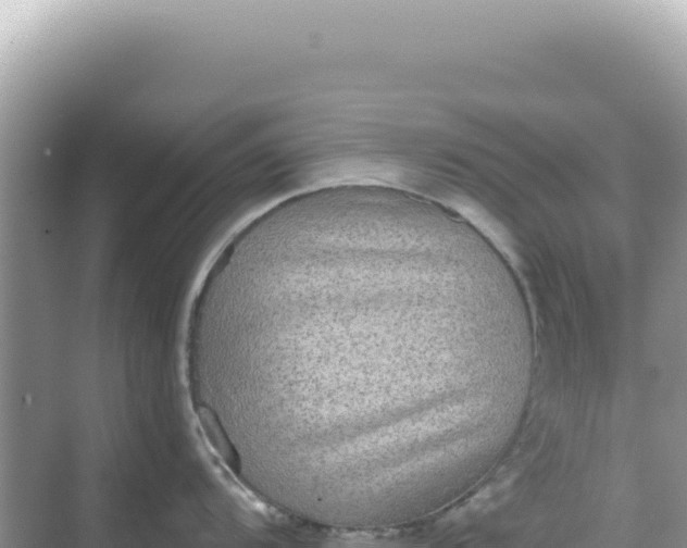 X0000068271104200605051808