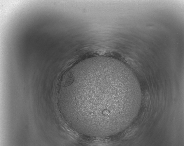 X0000068271105200605051807