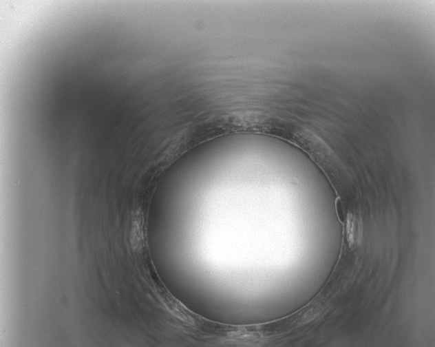 X0000068271107200605051808