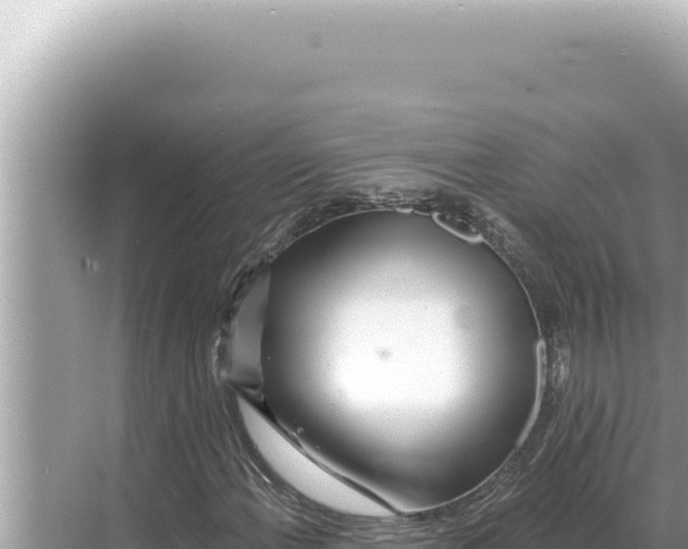 X0000068271108200605051808