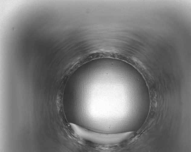 X0000068271110200605051808