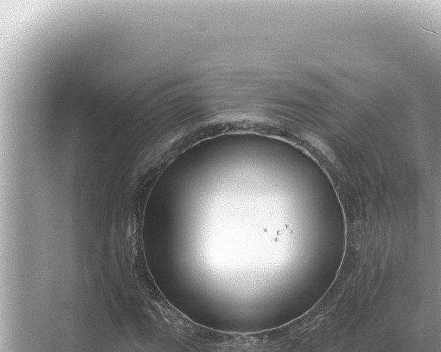 X0000068271111200605051808