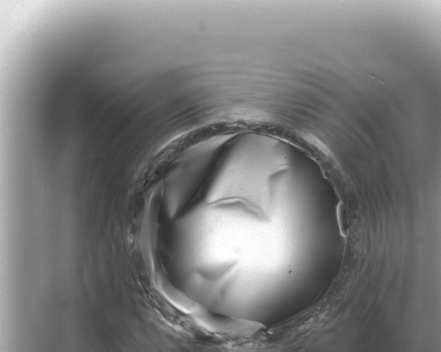 X0000068271112200605051808