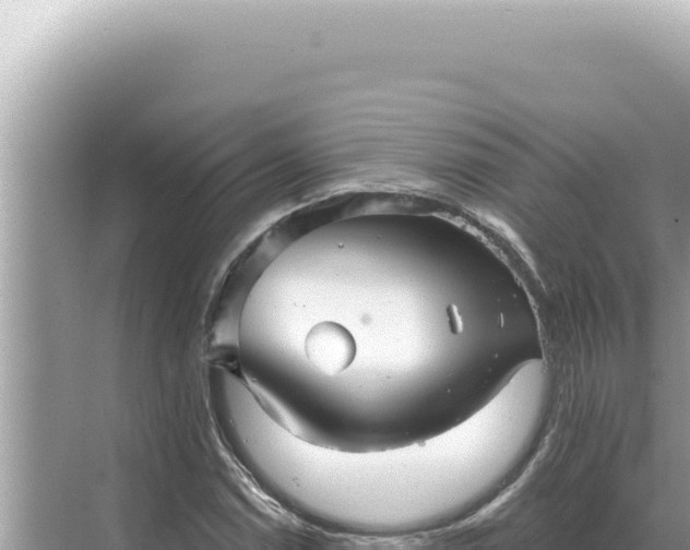 X0000068271114200605051808