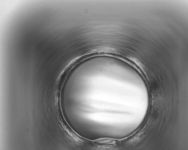 X0000068271115200605051808