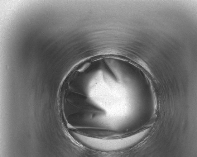 X0000068271116200605051808