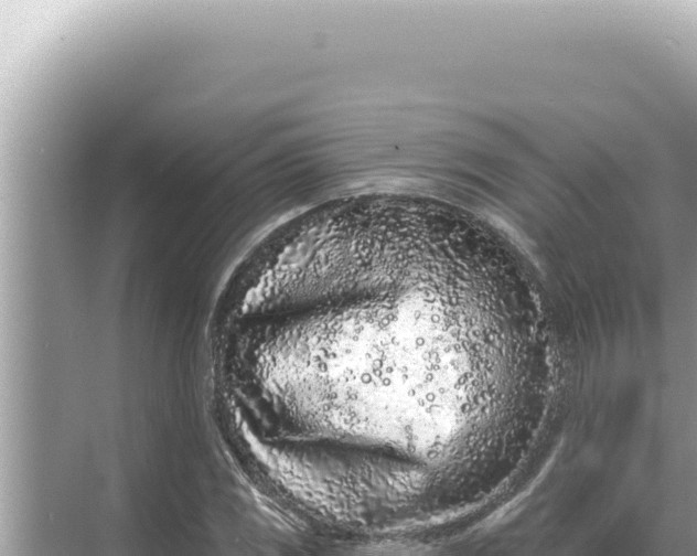 X0000068271117200605051808