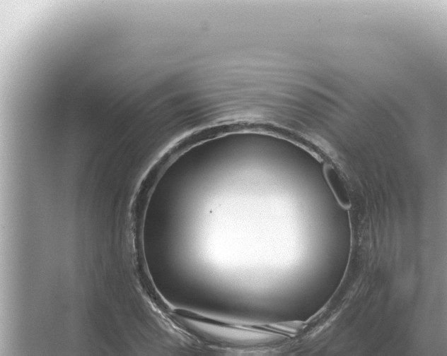 X0000068271118200605051808