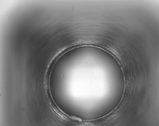 X0000068271119200605051808