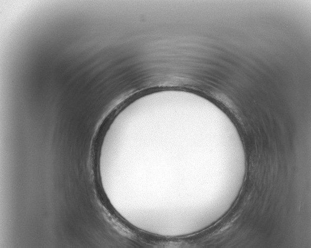 X0000068271122200605051808