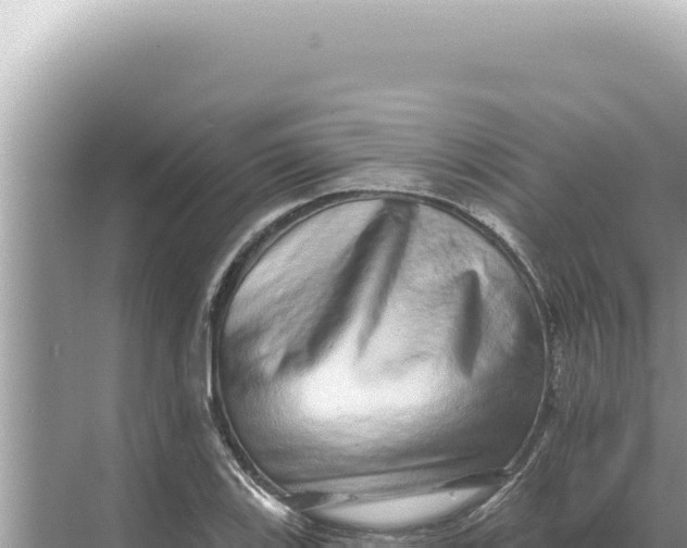 X0000068271123200605051808