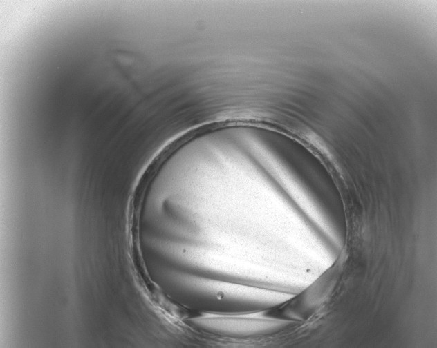 X0000068271124200605051808