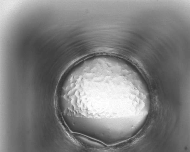 X0000068271125200605051808