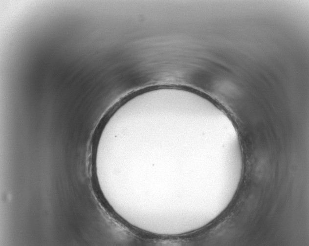 X0000068271126200605051808