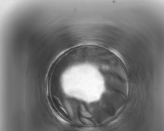 X0000068271127200605051808