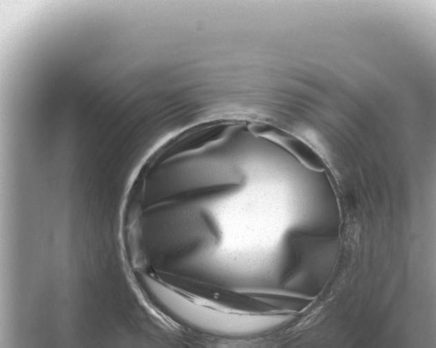 X0000068271128200605051808