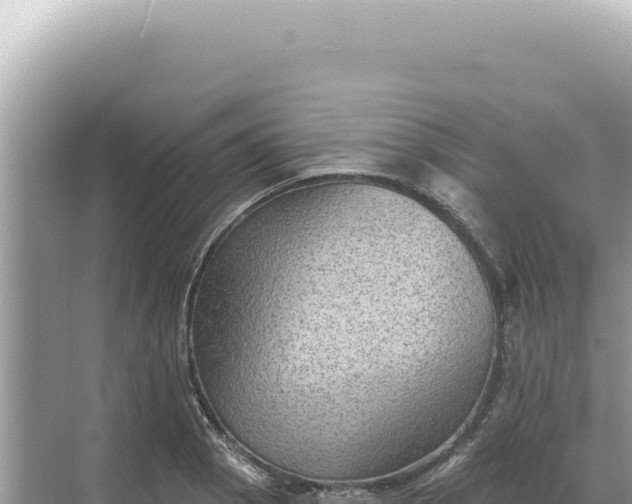 X0000068271129200605051808