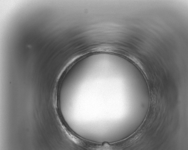 X0000068271131200605051808