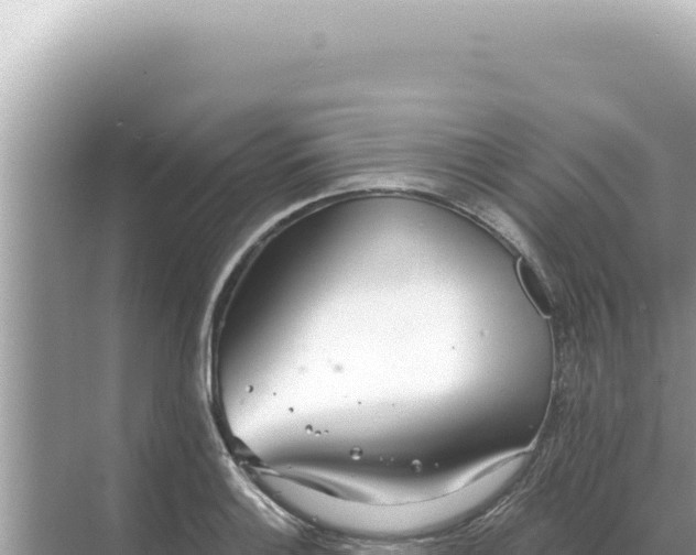 X0000068271132200605051808