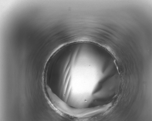 X0000068271134200605051808