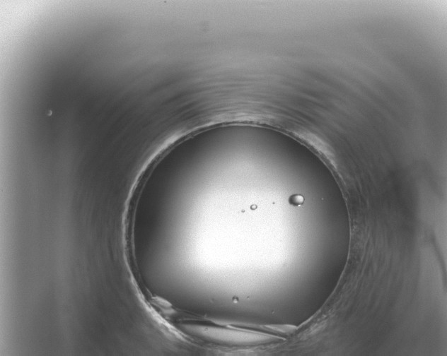 X0000068271135200605051808