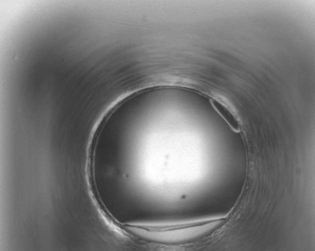 X0000068271136200605051808