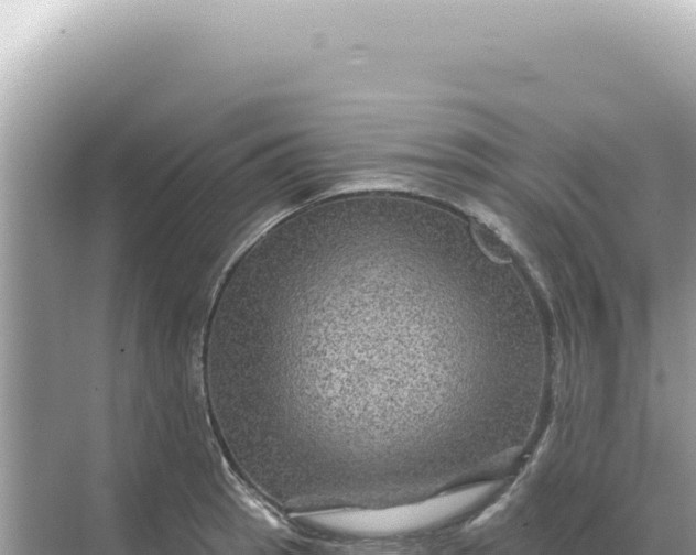 X0000068271137200605051808