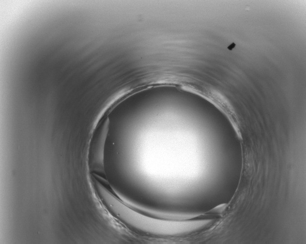 X0000068271138200605051808