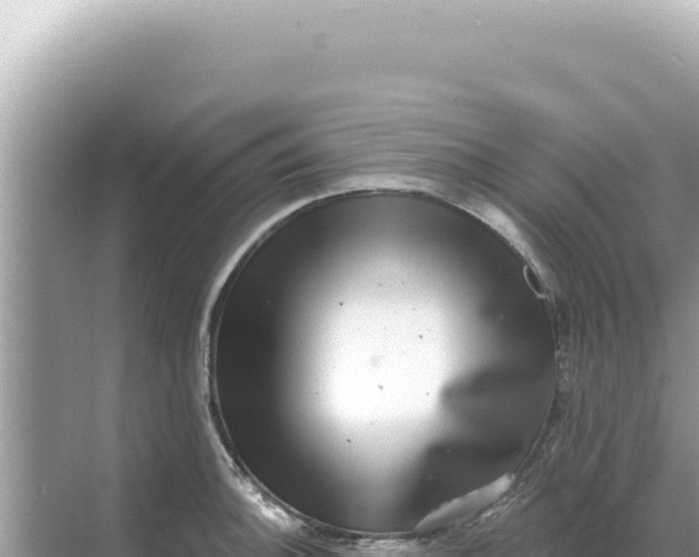 X0000068271140200605051808