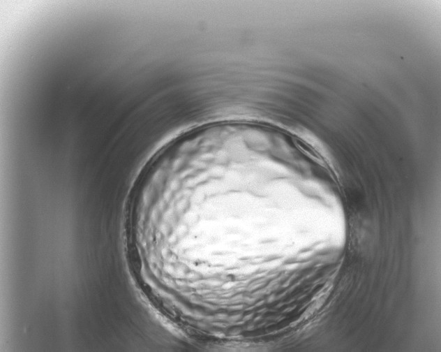 X0000068271142200605051808