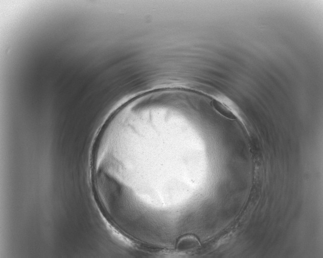 X0000068271143200605051808