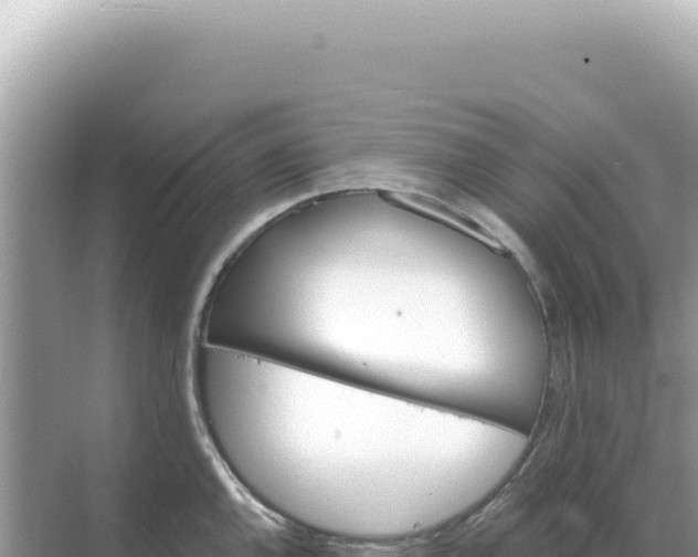 X0000068271144200605051808